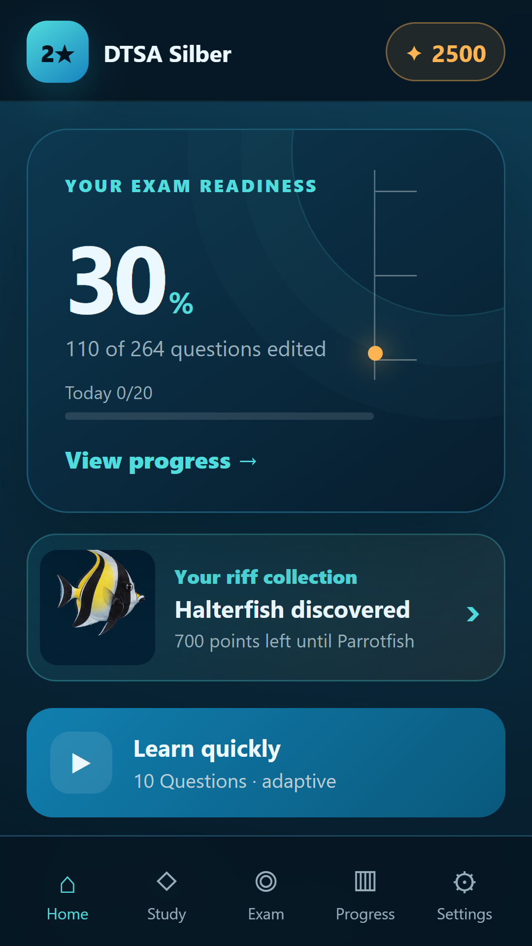 Silver app: topic selection and learning progress