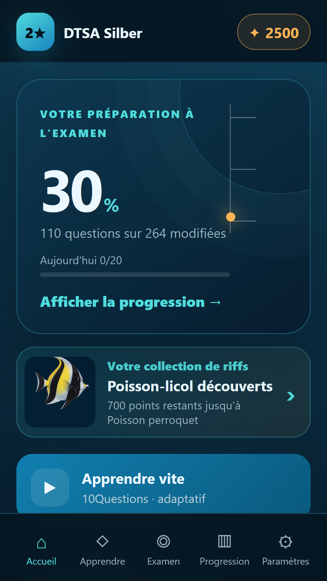 Application Argent : choix des thèmes et progression
